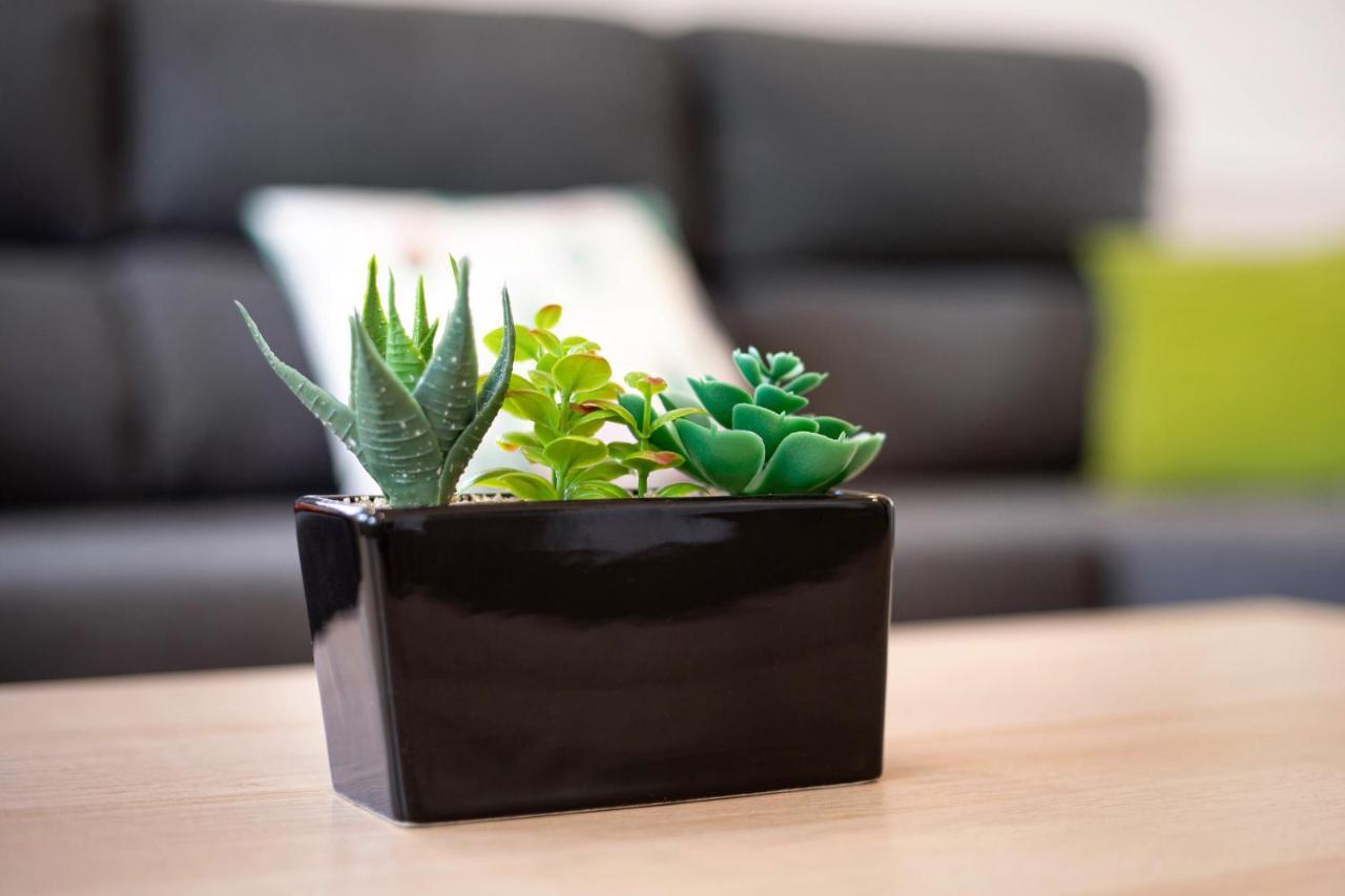 安提瓜Casa Cactus别墅 外观 照片